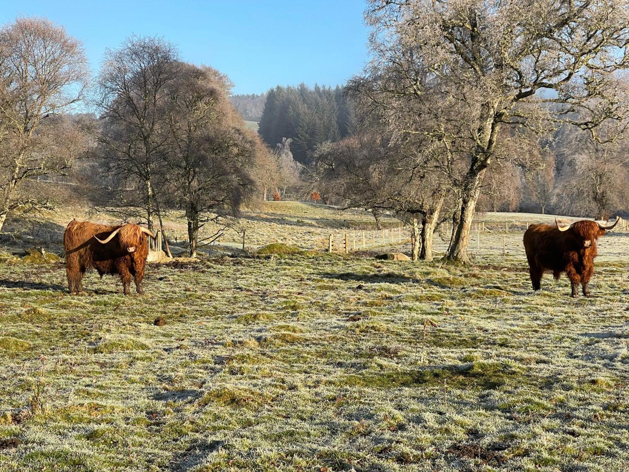 Coppice Cottage Grantown-on-Spey Εξωτερικό φωτογραφία
