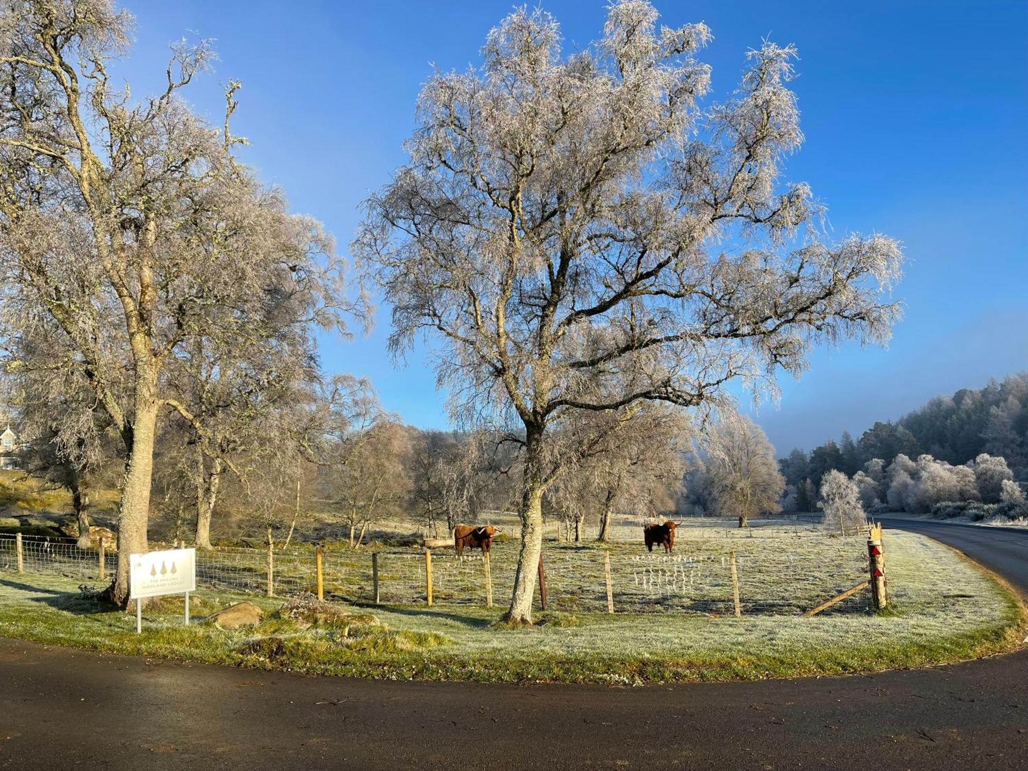 Coppice Cottage Grantown-on-Spey Εξωτερικό φωτογραφία