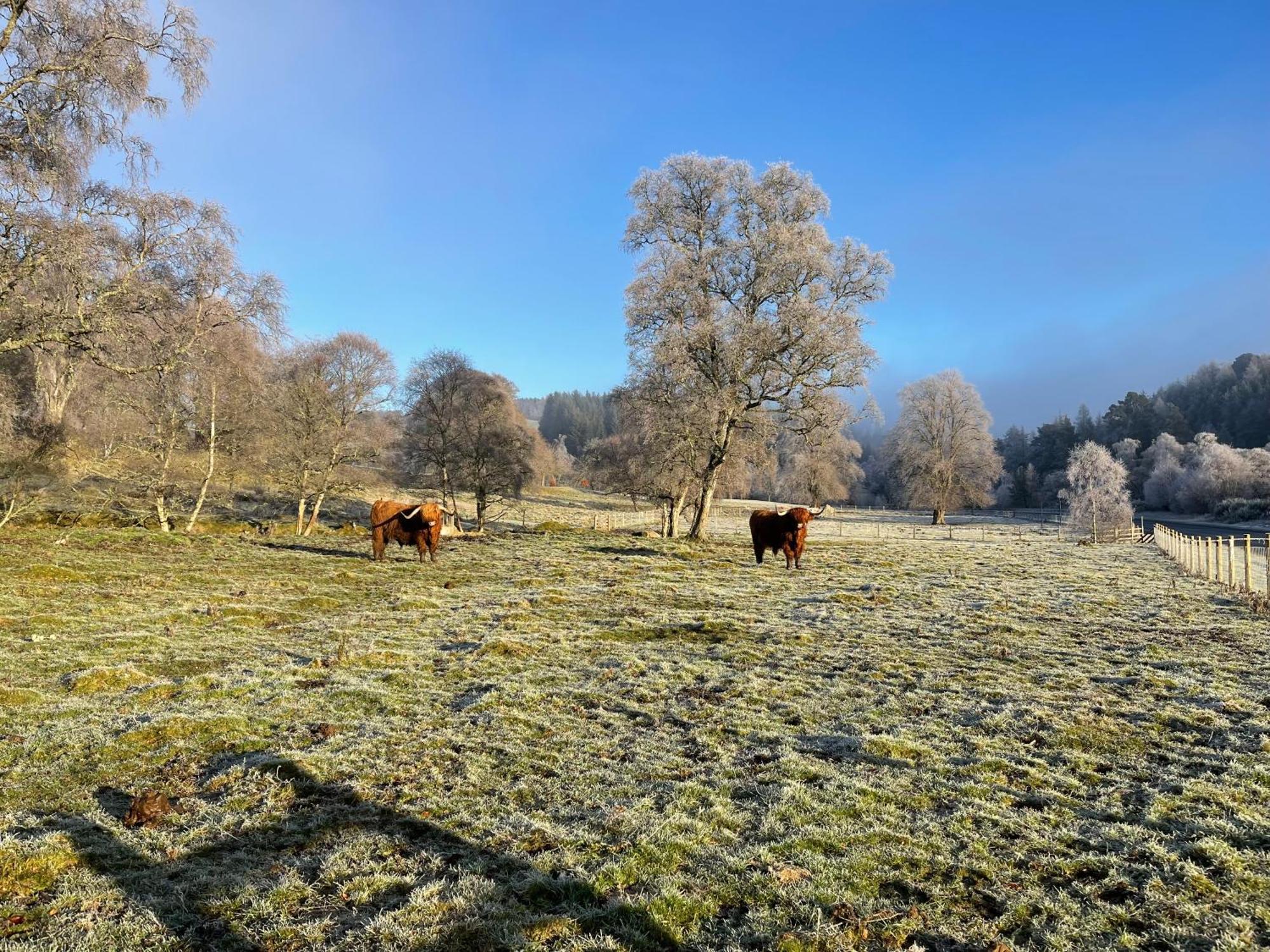 Coppice Cottage Grantown-on-Spey Εξωτερικό φωτογραφία