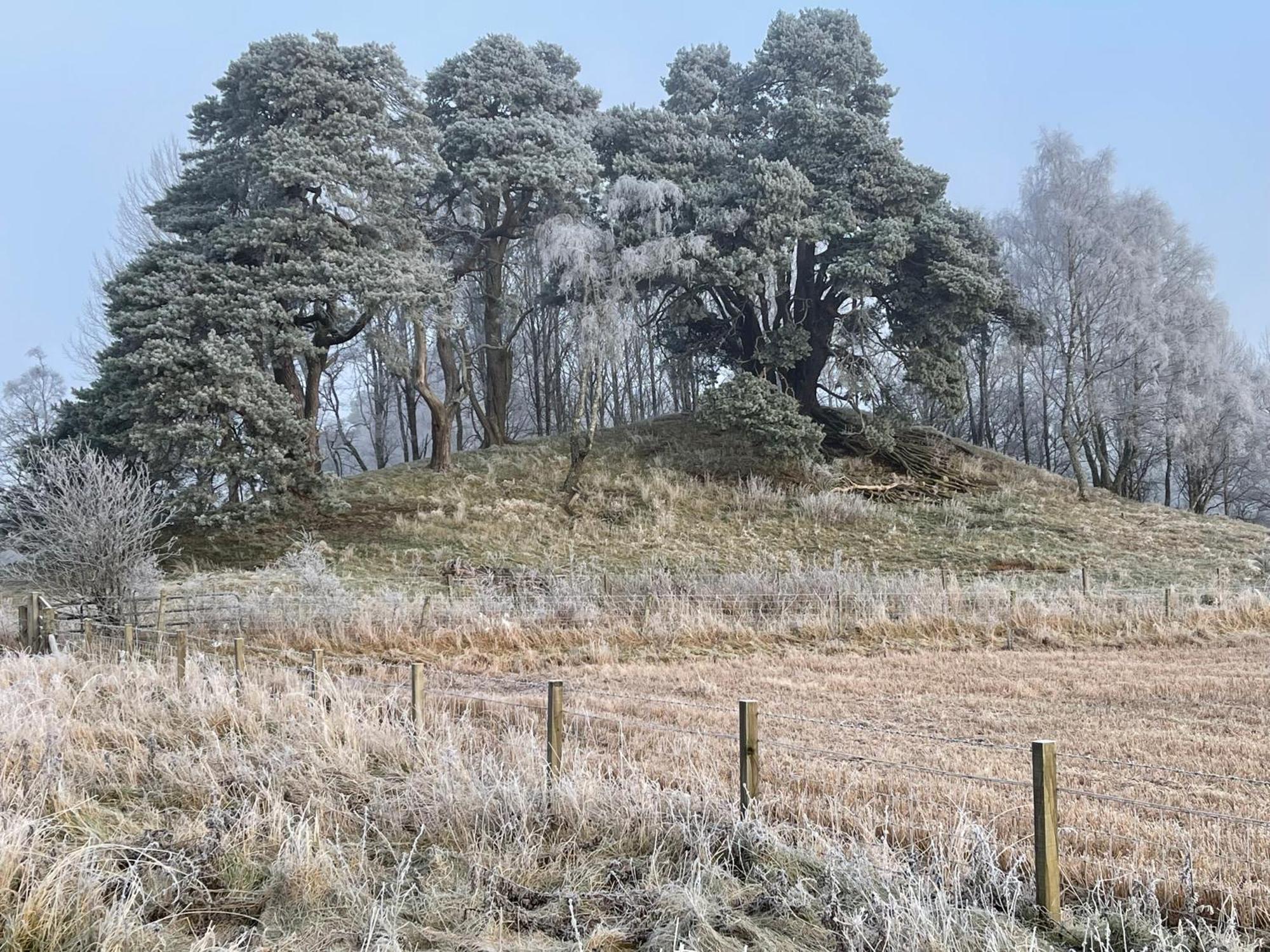 Coppice Cottage Grantown-on-Spey Εξωτερικό φωτογραφία