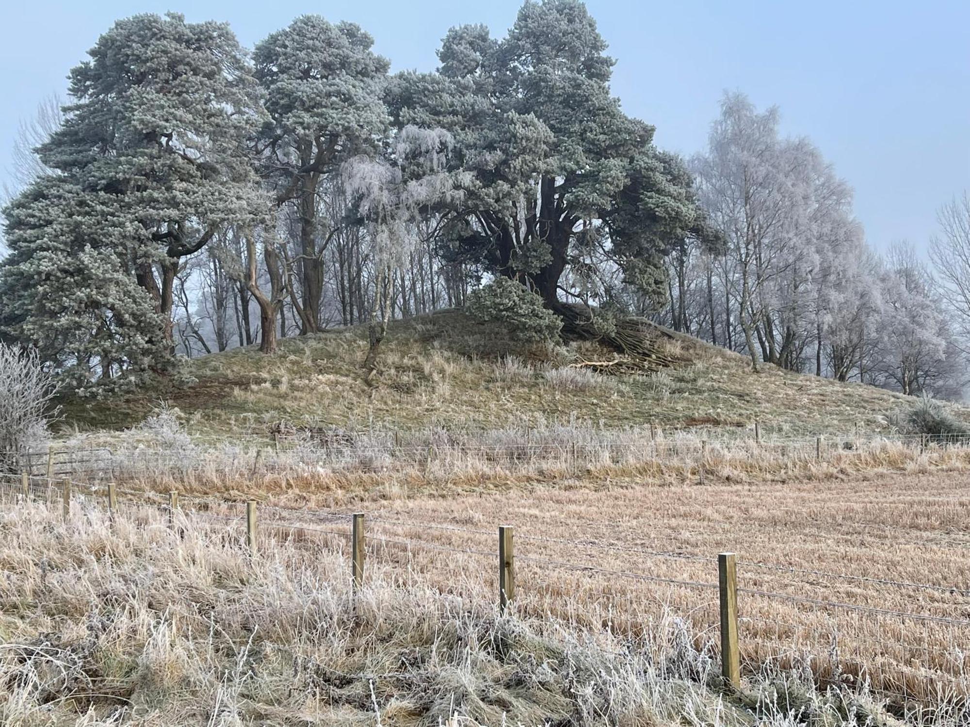 Coppice Cottage Grantown-on-Spey Εξωτερικό φωτογραφία