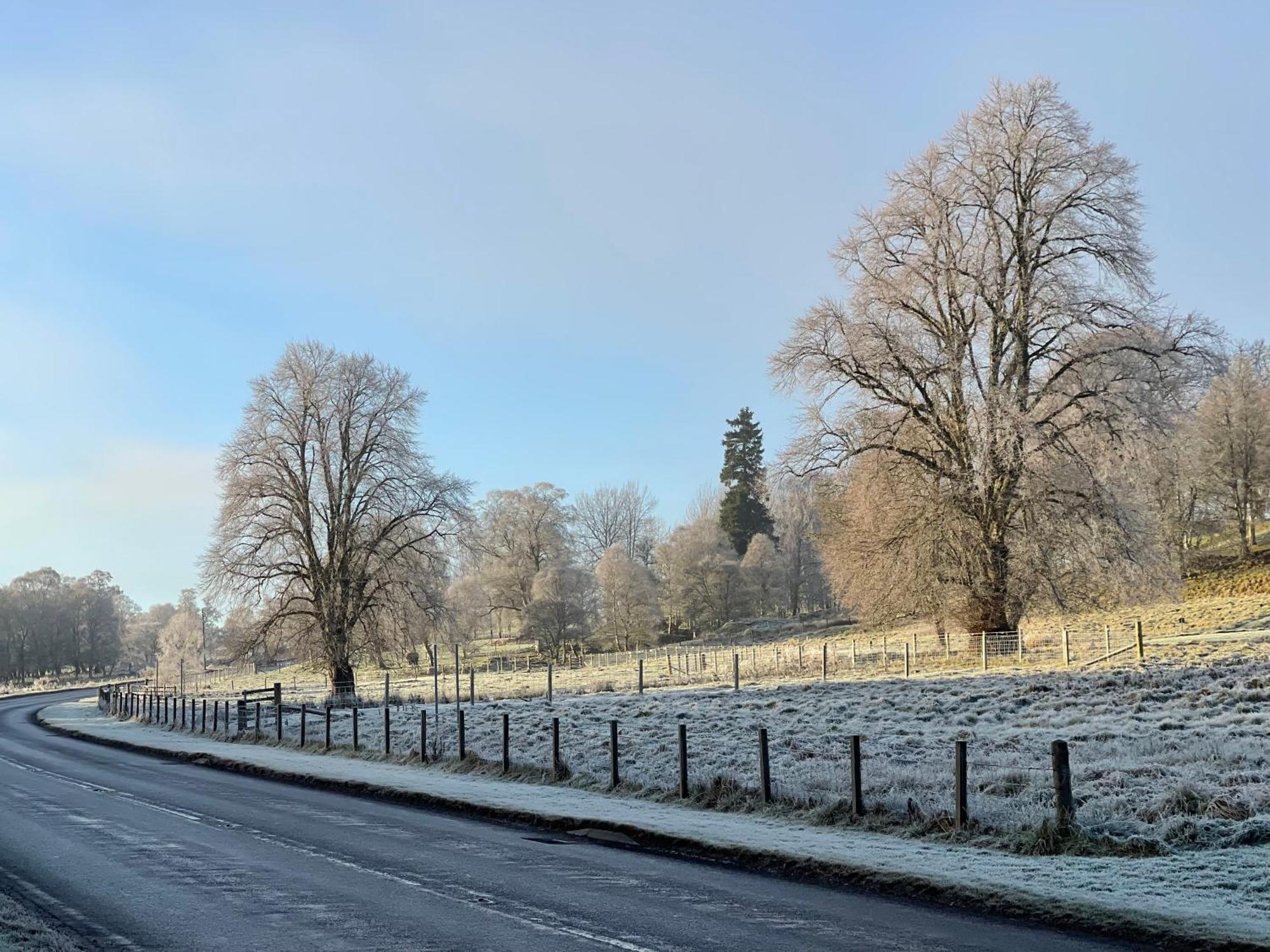Coppice Cottage Grantown-on-Spey Εξωτερικό φωτογραφία