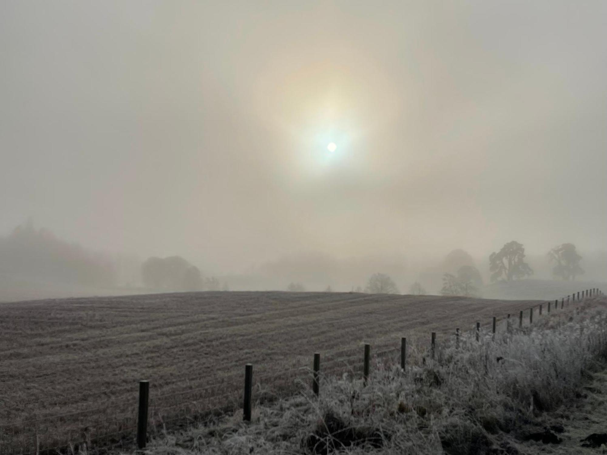 Coppice Cottage Grantown-on-Spey Εξωτερικό φωτογραφία